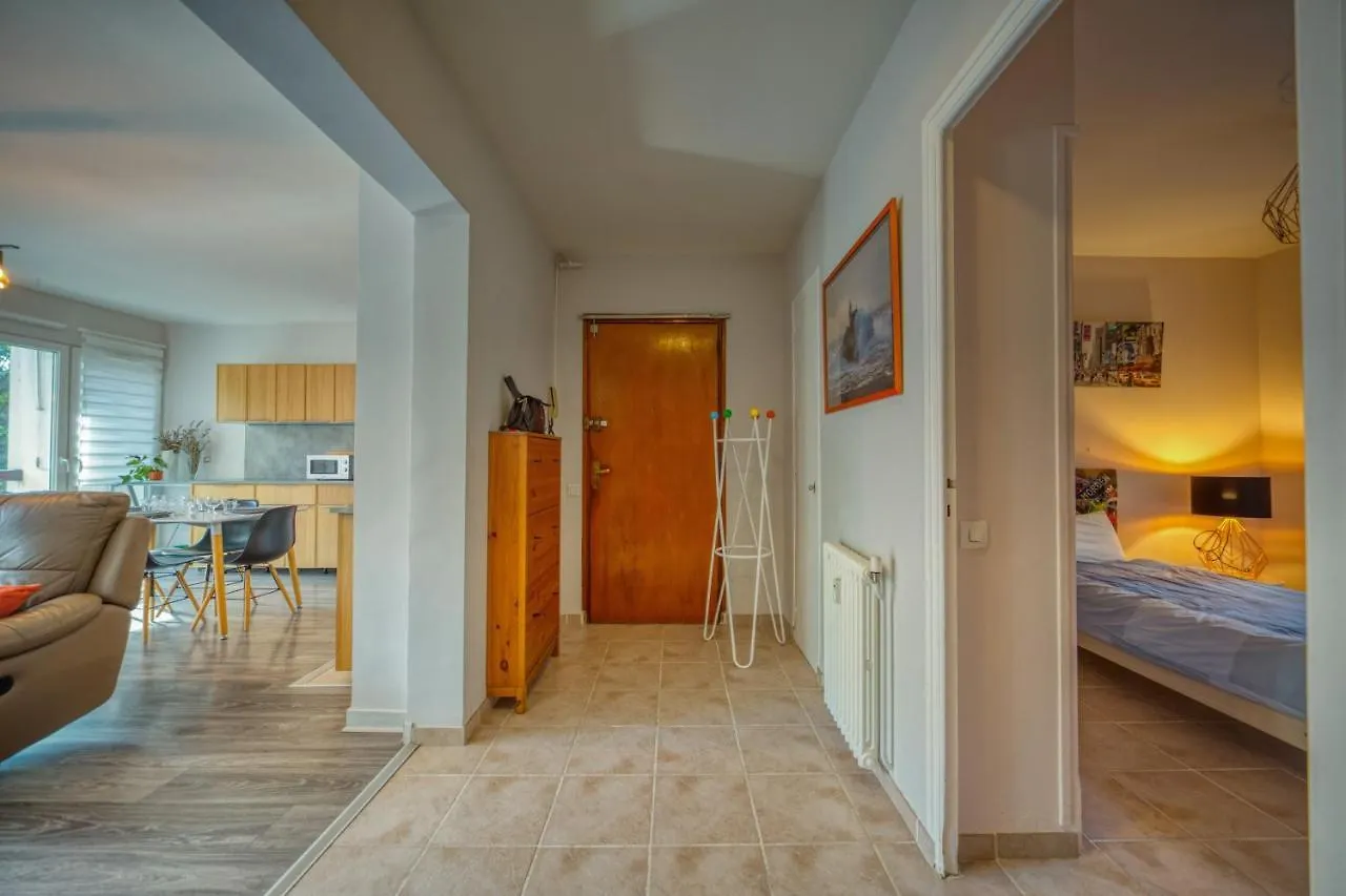 Apartment Nice Businessflat, Center, Free Parking, Business Or Holidays
